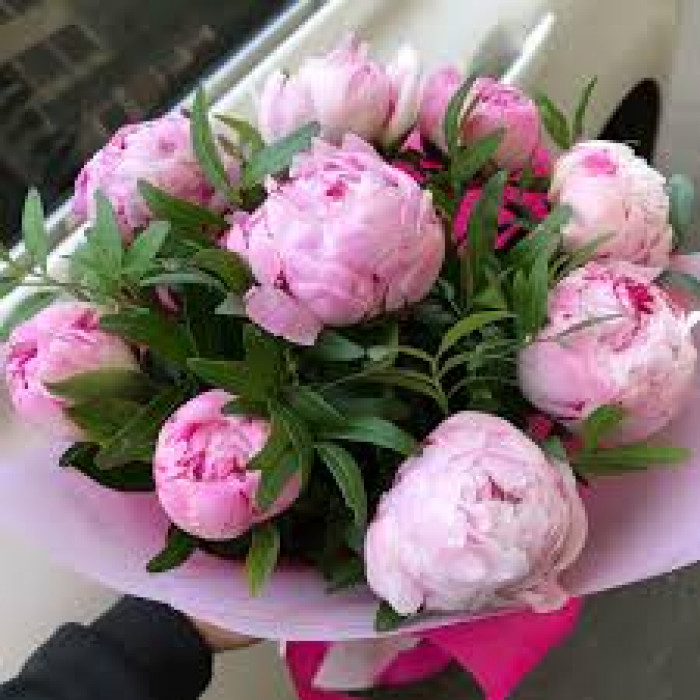 Пион древовидный в Аягозе