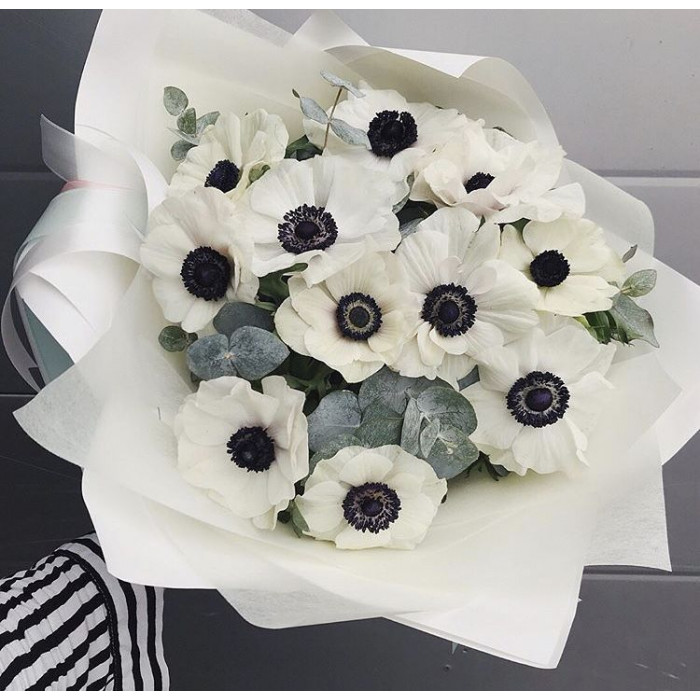 Анемоны в Аягозе