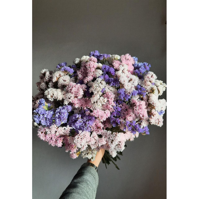 Статица (Лимониум) в Аягозе