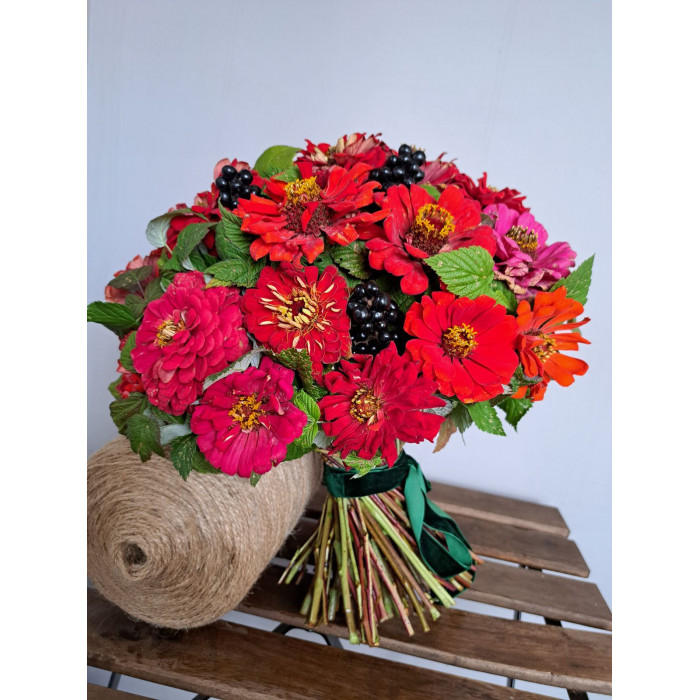 Циния в Аягозе