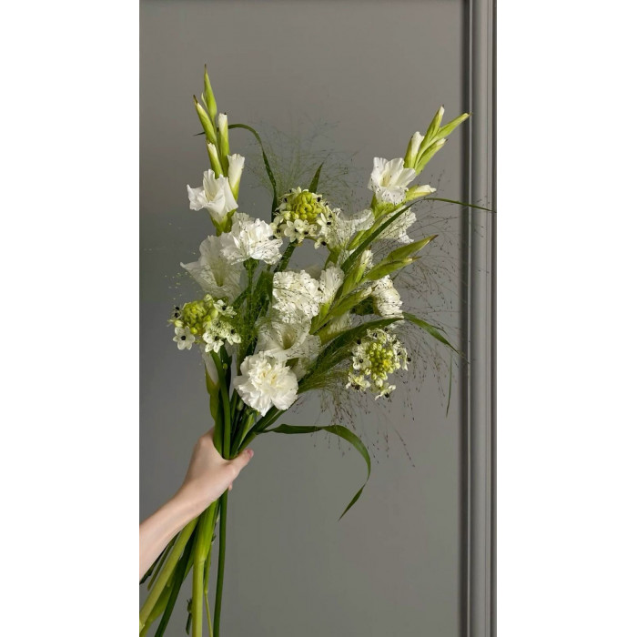 Орнитогалум в Аягозе