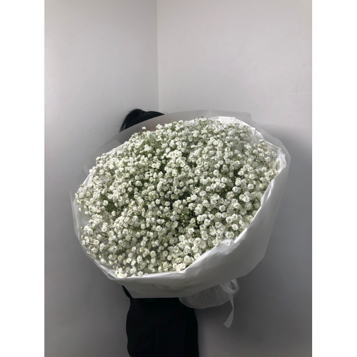 Гипсофила классическая в Аягозе