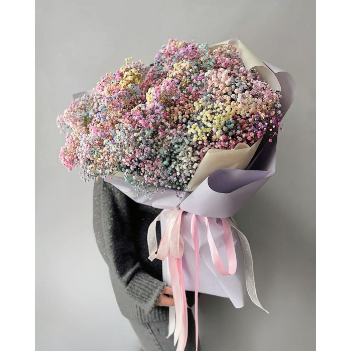 Гипсофила цветная в Аягозе