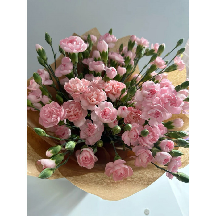 Кустовые гвоздики в Аягозе