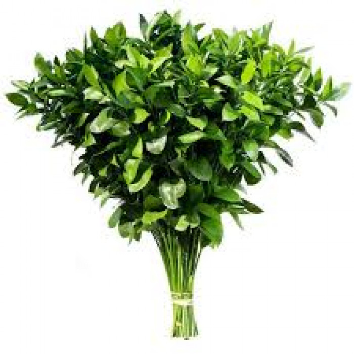 Рускус в Аягозе