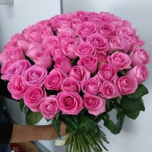 Купить на заказ Букет из 75 розовых роз с доставкой в Аягозе