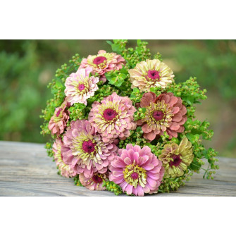 Букет из цинии №11