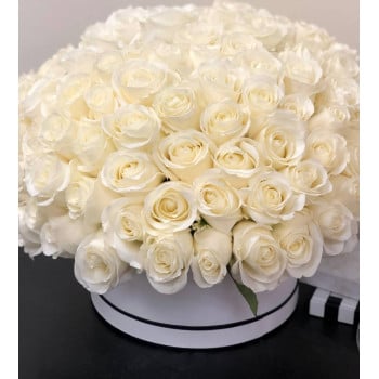 101 белая роза в коробке 101 белая роза в коробке