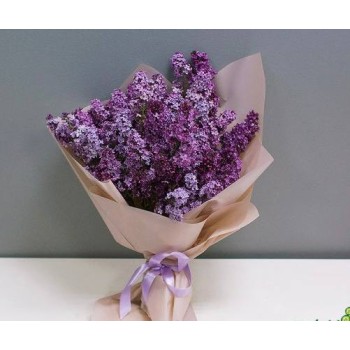 Очарование Очарование